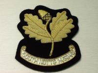 South Nottinghamshire Hussars blazer badge