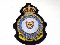 410 Squadron RCAF KC blazer badge