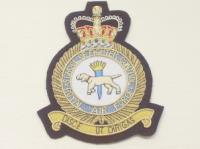 School of Fighter Control blazer badge