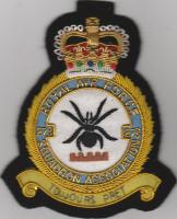 273 Squadron RAF Association (New pattern) blazer badge