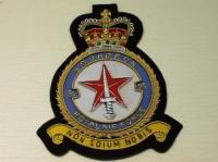 81 Squadron RAF QC blazer badge