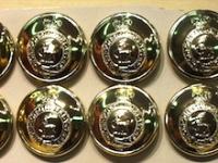Royal Regiment of Fusiliers button 30 ligne (8 left)
