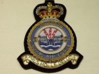 617 Squadron RAF QC blazer badge