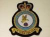 RAF Association (Non) blazer badge