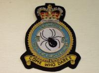 58 Squadron RAF Regiment blazer badge