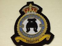 166 Squadron RAF KC blazer badge