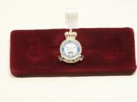 RAF Support Command lapel pin