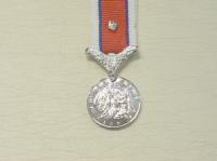 Hors de Combat miniature medal with poppy
