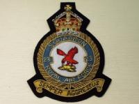 23 Sqdn KC RAF blazer badge