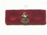 Kings Amalgamated Regt lapel badge