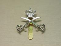 Army Physical Training Corps cap badge