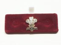 Royal Regiment of wales lapel pin