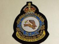 14th Squadron Royal New Zealand Air Force Kings Crown blazer bad