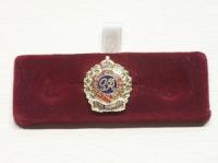 Royal Engineers GV1 lapel pin