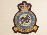 144 RAF Sqdn QC blazer badge