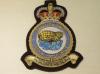 Balloon Unit RAF blazer badge