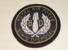RAF Bomb Disposal blazer badge