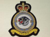 233 Operational Conversion Unit RAF blazer badge
