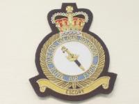 Queens Colour Squadron blazer badge