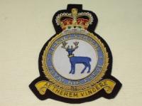 RAF Signals Command blazer badge
