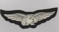 RAF Guinea Pig Club blazer badge