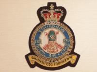 180 Squadron QC RAF blazer badge