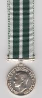 RNR Long Service Good Conduct Medal GVI miniature medal