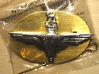 Parachute Regiment white metal QC cap badge