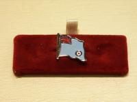 RAF flag lapel pin