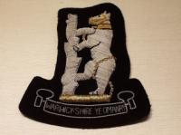 Warwickshire Yeomanry blazer badge