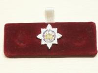Royal Dragoon Guards lapel badge