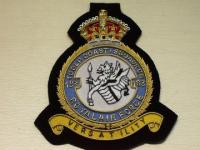 183 Sqdn KC RAF blazer badge