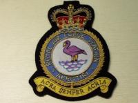 RAF Station Akrotiri blazer badge