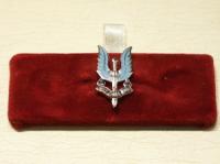 Special Air Service (SAS) lapel pin