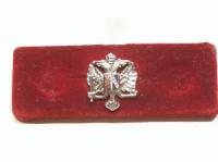 Queens Dragoon Guards lapel badge