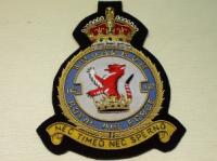 110 Squadron RAF KC blazer badge