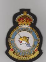 450 Squadron RAAF KC blazer badge