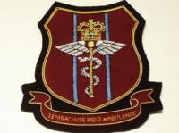 23 Parachute Field Ambulance shield RAMC blazer badge