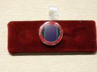 Northern Ireland Veterans lapel pin