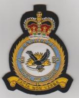 20 Squadron Queen's Crown RAF blazer badge