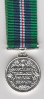 Northern Ireland Prison Service Long Service miniature medal