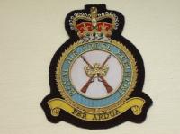 RAF Regiment Queens Crown blazer badge
