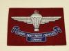 Guards Independent Parachute Company on maroon blazer badge