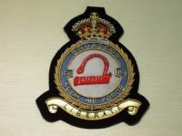 161 Squadron RAF KC blazer badge