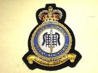 RAF Fighter Command QC blazer badge 110