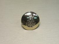 Intelligence Corps small button
