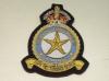 RAF Changi blazer badge