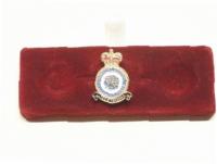 RAF Transport Command lapel pin