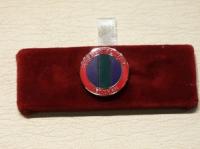 Suez Canal Zone Veterans lapel pin