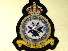 185 Squadron KC wire blazer badge - Click Image to Close